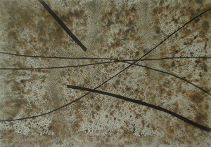 Thumbnail Placeholder